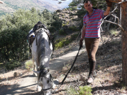 Malaga Trail Ride 